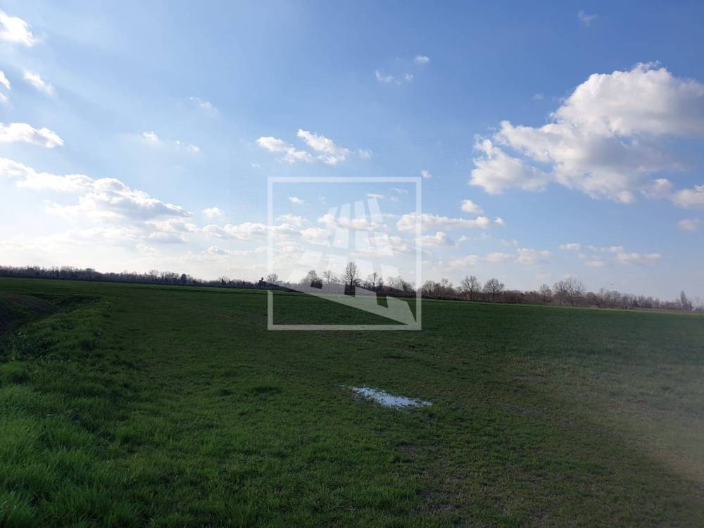 terreno agricolo in vendita a Montecchio Emilia