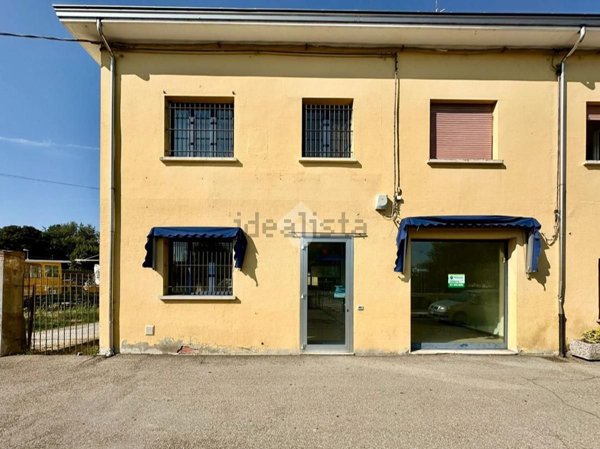 pentavano in vendita a Novellara