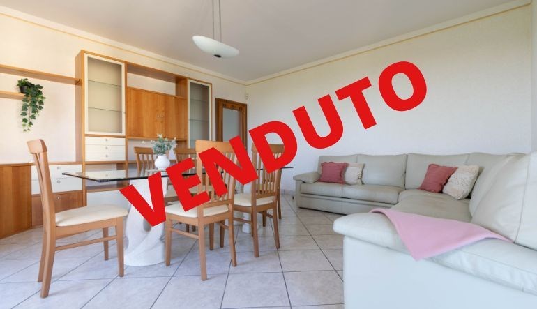 casa indipendente in vendita a Novellara