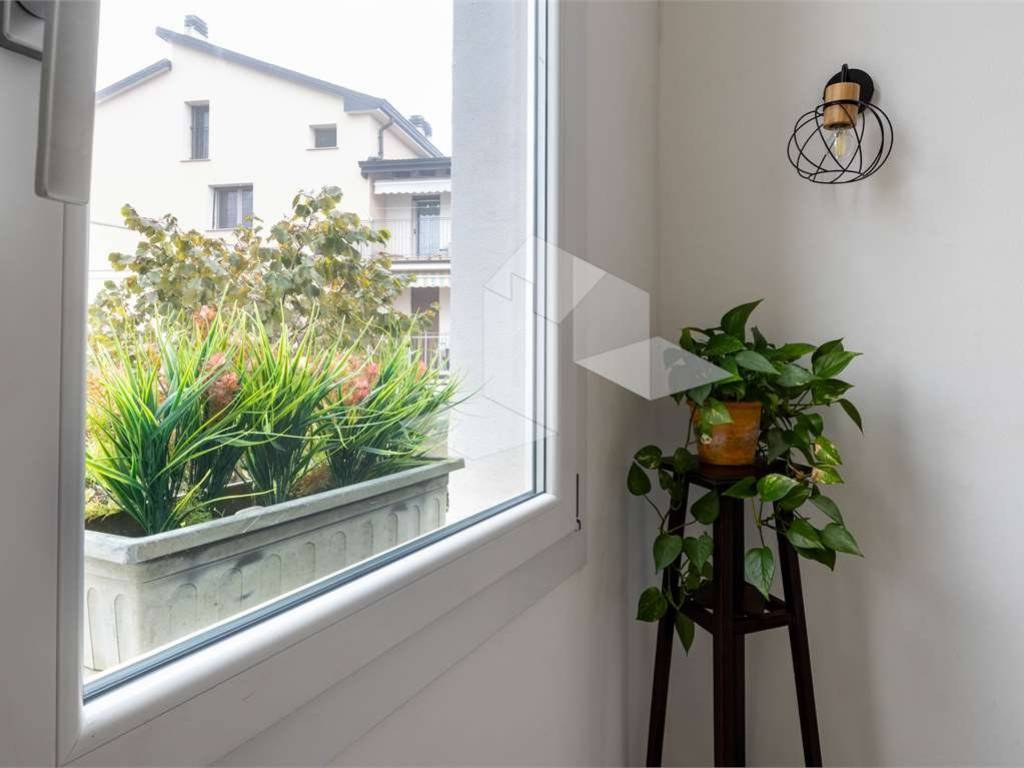 casa indipendente in vendita a Novellara