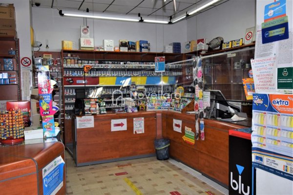 appartamento in vendita a Novellara