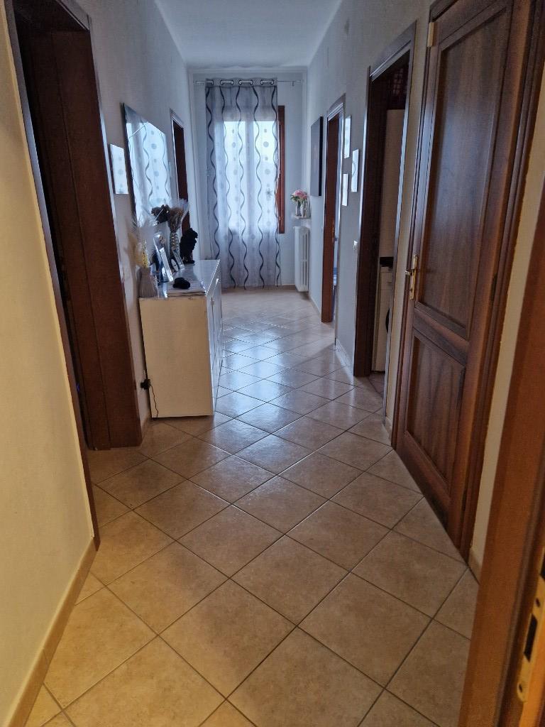 casa indipendente in vendita a Novellara