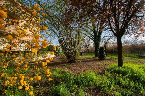 casa indipendente in vendita a Novellara