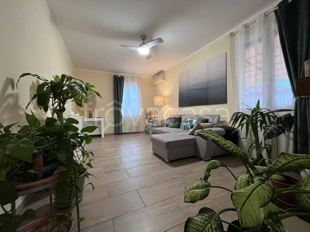 casa indipendente in vendita a Novellara