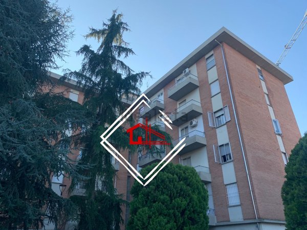 appartamento in vendita a Novellara