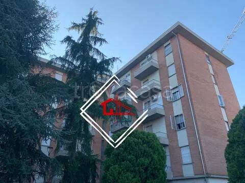 appartamento in vendita a Novellara in zona Mulino di Sotto