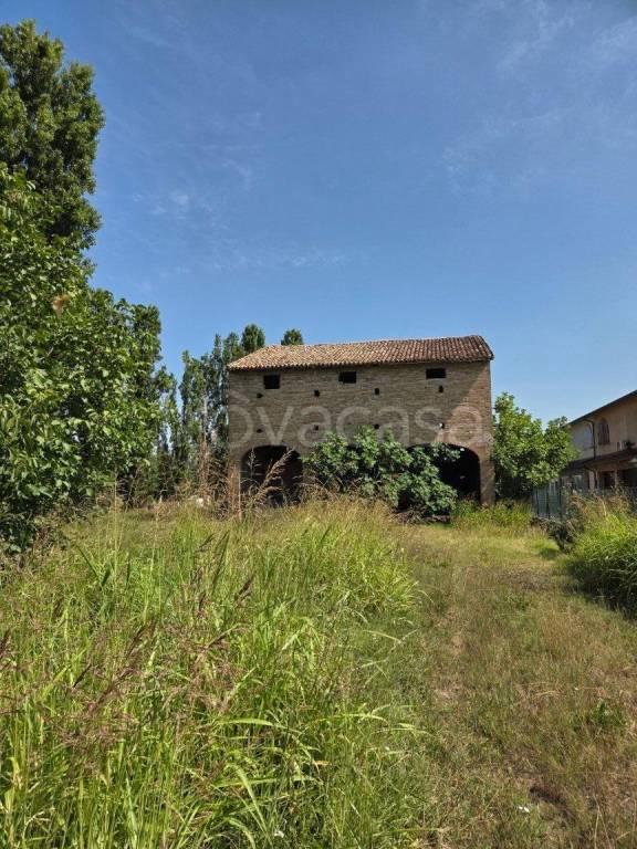 terreno agricolo in vendita a Poviglio