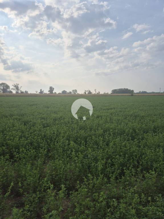 terreno agricolo in vendita a Poviglio