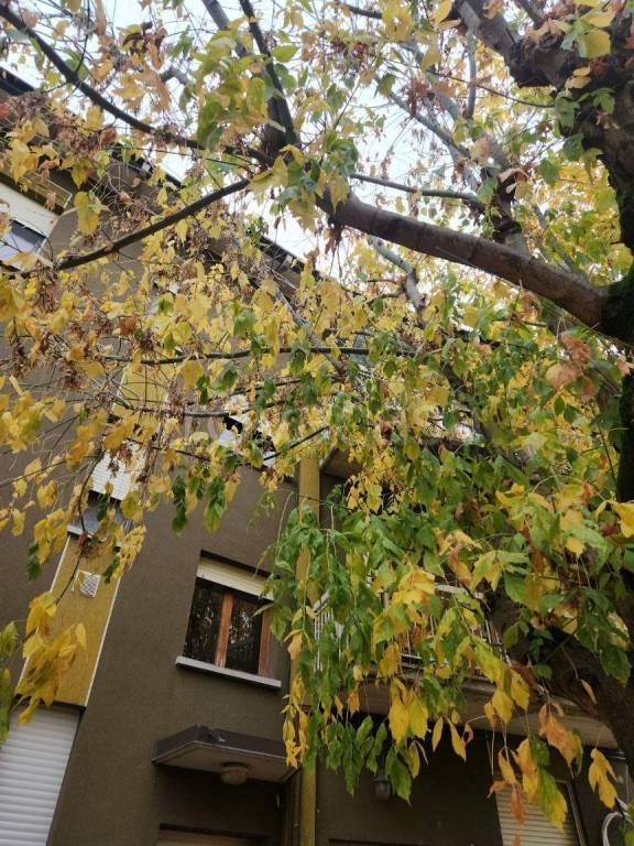 appartamento in vendita a Poviglio