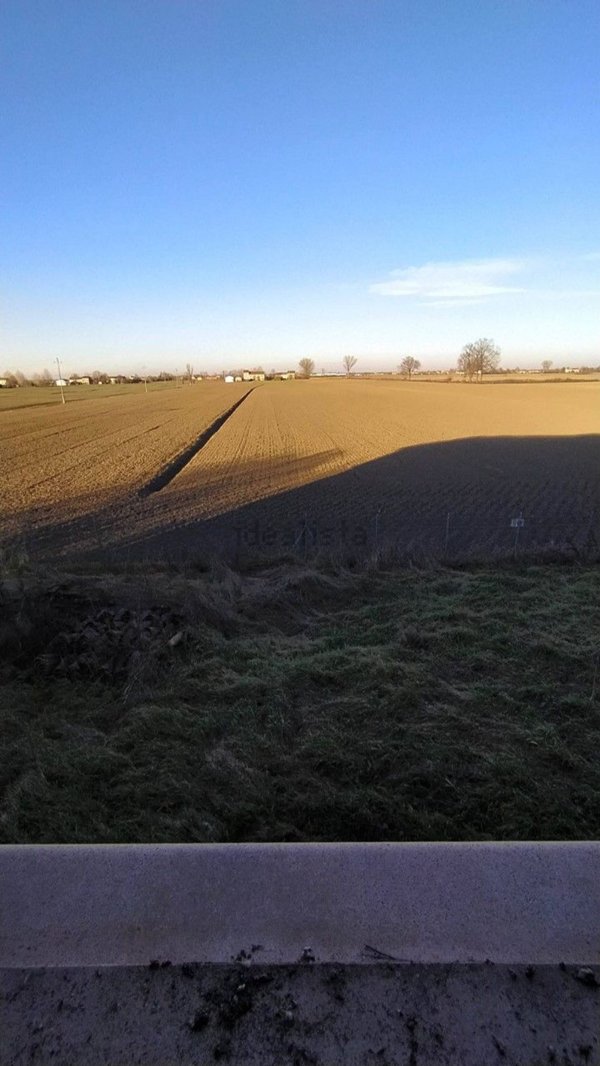 pentavano in vendita a Poviglio