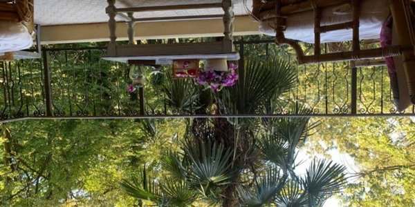 casa indipendente in vendita a Quattro Castella