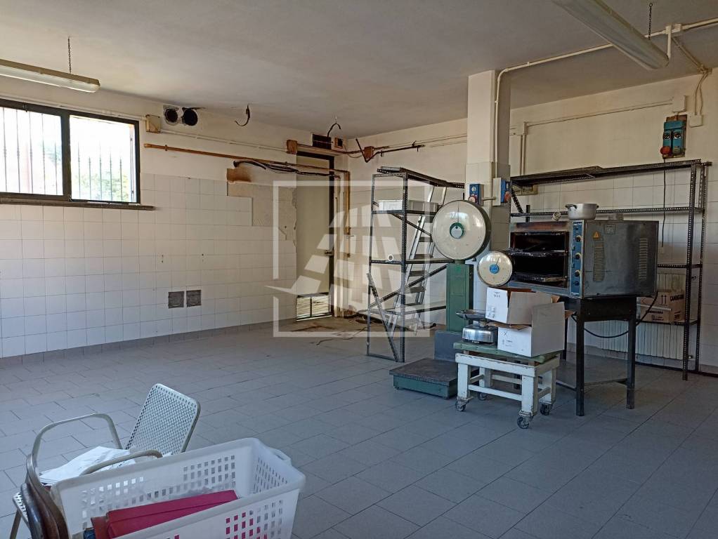 immagine annuncio 0 di 15
