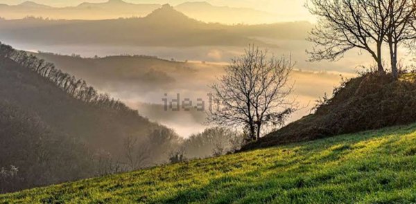 terreno edificabile in vendita a Quattro Castella