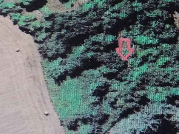 terreno agricolo in vendita a Quattro Castella in zona Montecavolo