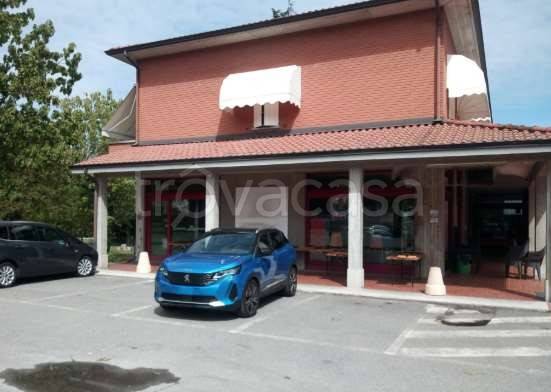 immagine annuncio 0 di 1