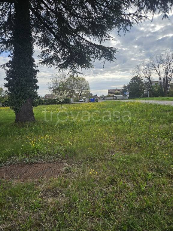 terreno agricolo in vendita a Quattro Castella