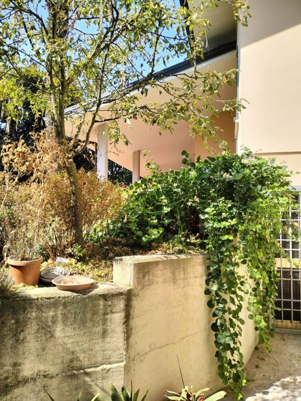 casa indipendente in vendita a Reggiolo