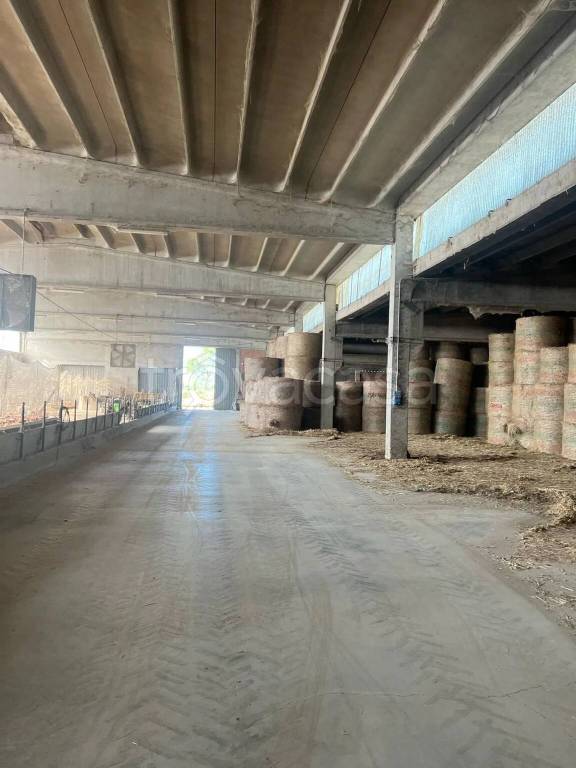 locale commerciale in vendita a Reggiolo