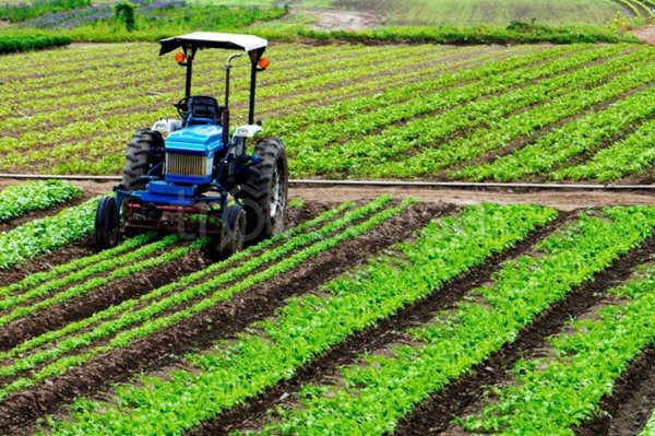 terreno agricolo in vendita a Reggiolo