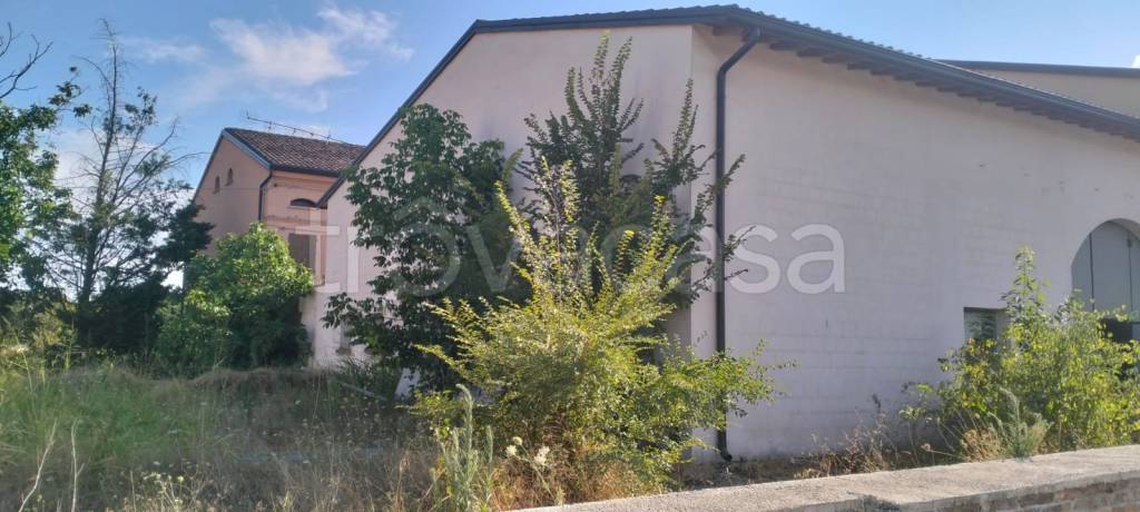 casa indipendente in vendita a Reggiolo