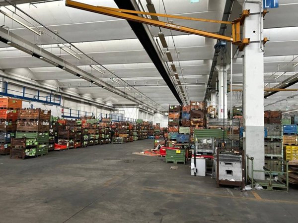 locale commerciale in vendita a Reggiolo