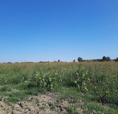 terreno agricolo in vendita a Reggiolo