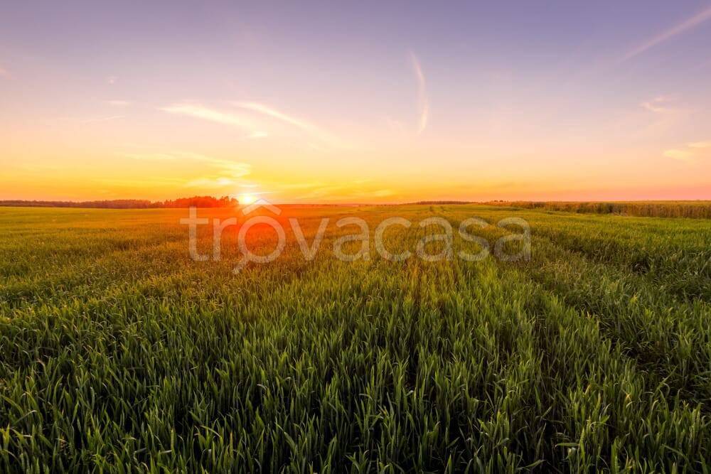 terreno agricolo in vendita a Reggiolo