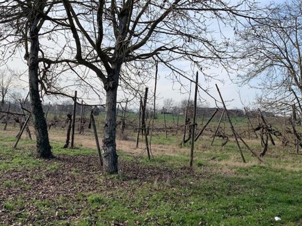 terreno agricolo in vendita a Reggio nell'Emilia in zona Coviolo