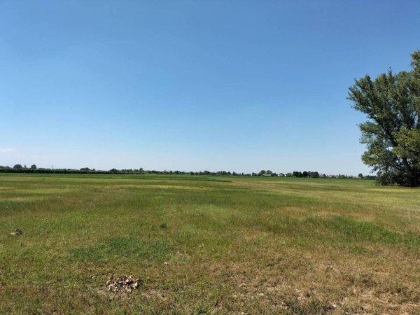terreno agricolo in vendita a Reggio nell'Emilia in zona San Bartolomeo