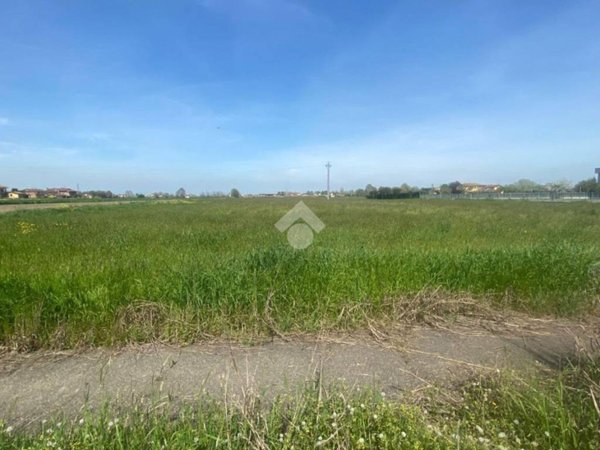 terreno agricolo in vendita a Reggio nell'Emilia in zona Cella