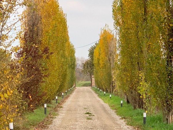 casa indipendente in vendita a Reggio nell'Emilia