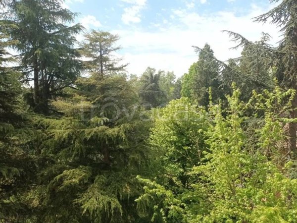 appartamento in vendita a Reggio nell'Emilia in zona Regina Pacis