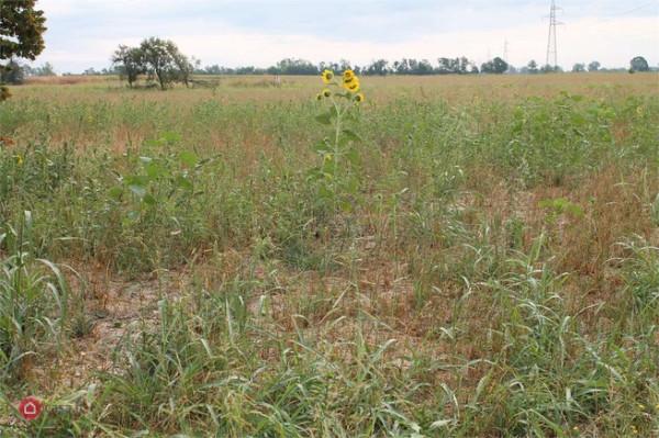 casale in vendita a Reggio nell'Emilia in zona San Bartolomeo