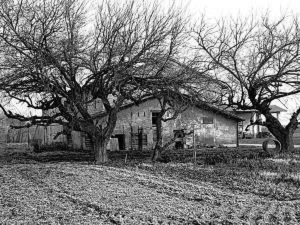 casa indipendente in vendita a Reggio nell'Emilia in zona Codemondo