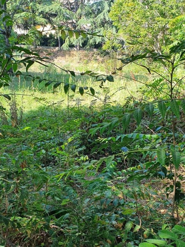 casa indipendente in vendita a Reggio nell'Emilia in zona Città Storica
