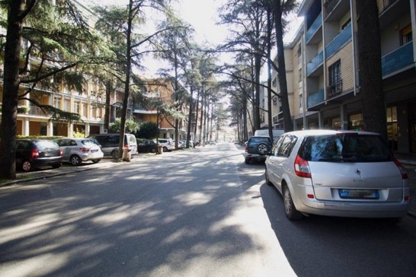 negozio in vendita a Reggio nell'Emilia in zona Mirabello