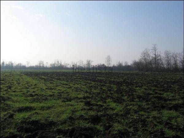 casale in vendita a Reggio nell'Emilia in zona Codemondo