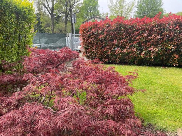 appartamento in vendita a Reggio nell'Emilia in zona Città Storica