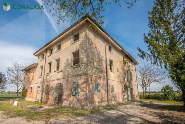 esavano in vendita a Reggio nell'Emilia