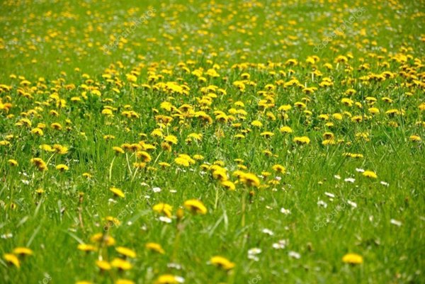 negozio in vendita a Reggio nell'Emilia