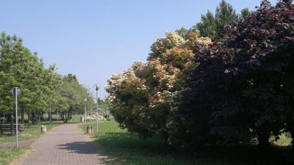 casa indipendente in vendita a Reggio nell'Emilia in zona Stranieri / Bazzarola