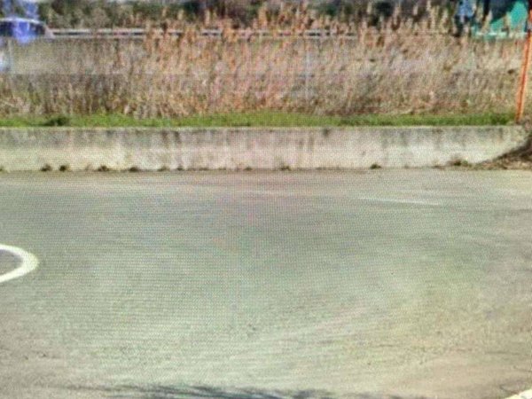 negozio in vendita a Reggio nell'Emilia in zona Sesso