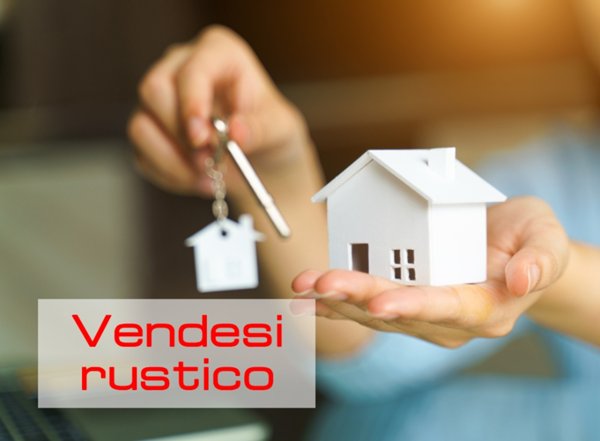 pentavano in vendita a Reggio nell'Emilia in zona Masone
