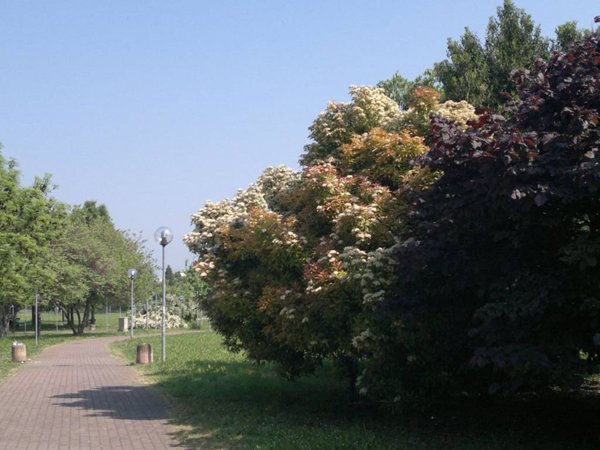 casa indipendente in vendita a Reggio nell'Emilia in zona Mirabello