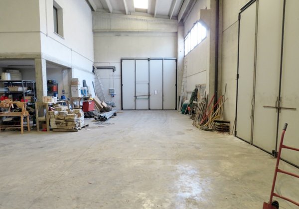 esavano in vendita a Reggio nell'Emilia