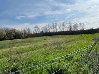 casa indipendente in vendita a Reggio nell'Emilia