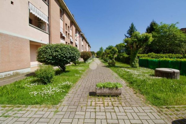 immagine annuncio 0 di 15