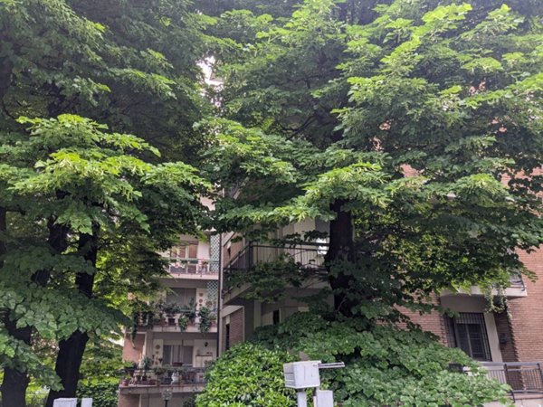 appartamento in vendita a Reggio nell'Emilia