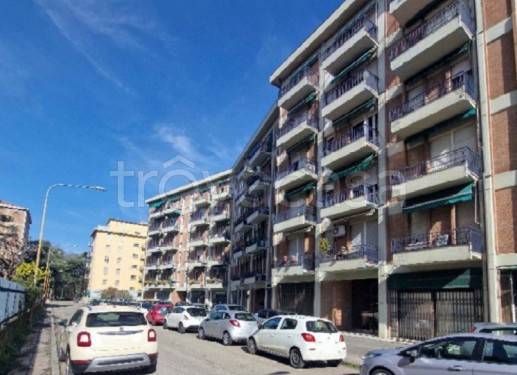 appartamento in vendita a Reggio nell'Emilia in zona Mirabello