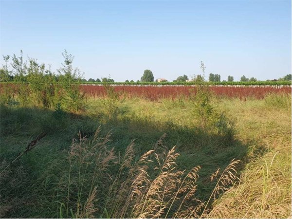 terreno agricolo in vendita a Reggio nell'Emilia